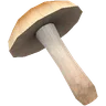 Shroom